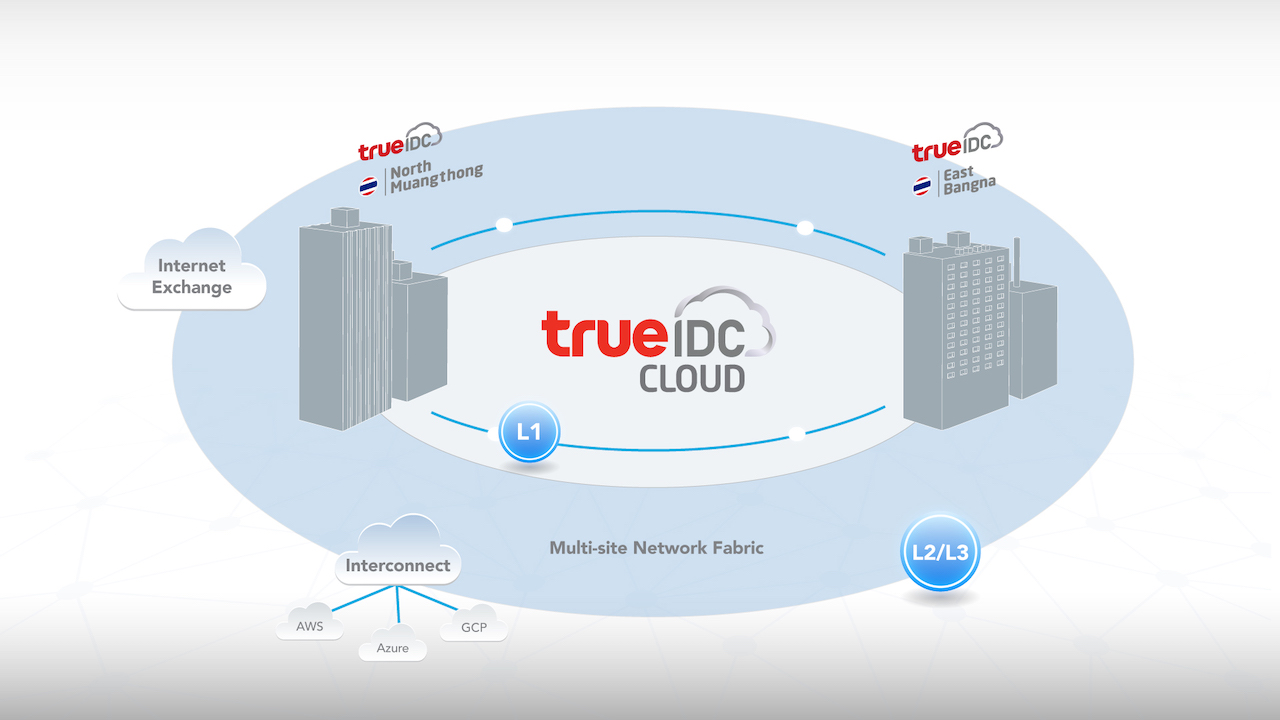 True IDC Cloud True Data Center, Server Colocation, บริการ